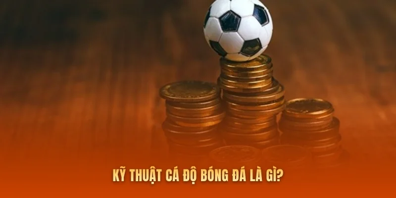 Kỹ thuật cá độ bóng đá là gì?