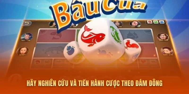 Hãy nghiên cứu và tiến hành cược theo đám đông